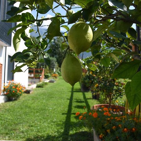 Il Giardino Dei Ciliegi Appartement Colico Buitenkant foto