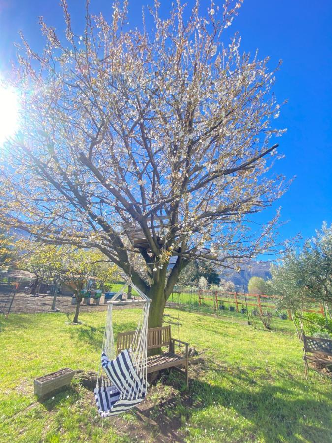 Il Giardino Dei Ciliegi Appartement Colico Buitenkant foto