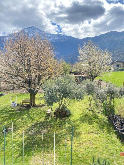 Il Giardino Dei Ciliegi Appartement Colico Buitenkant foto