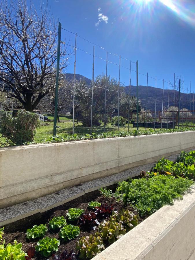 Il Giardino Dei Ciliegi Appartement Colico Buitenkant foto
