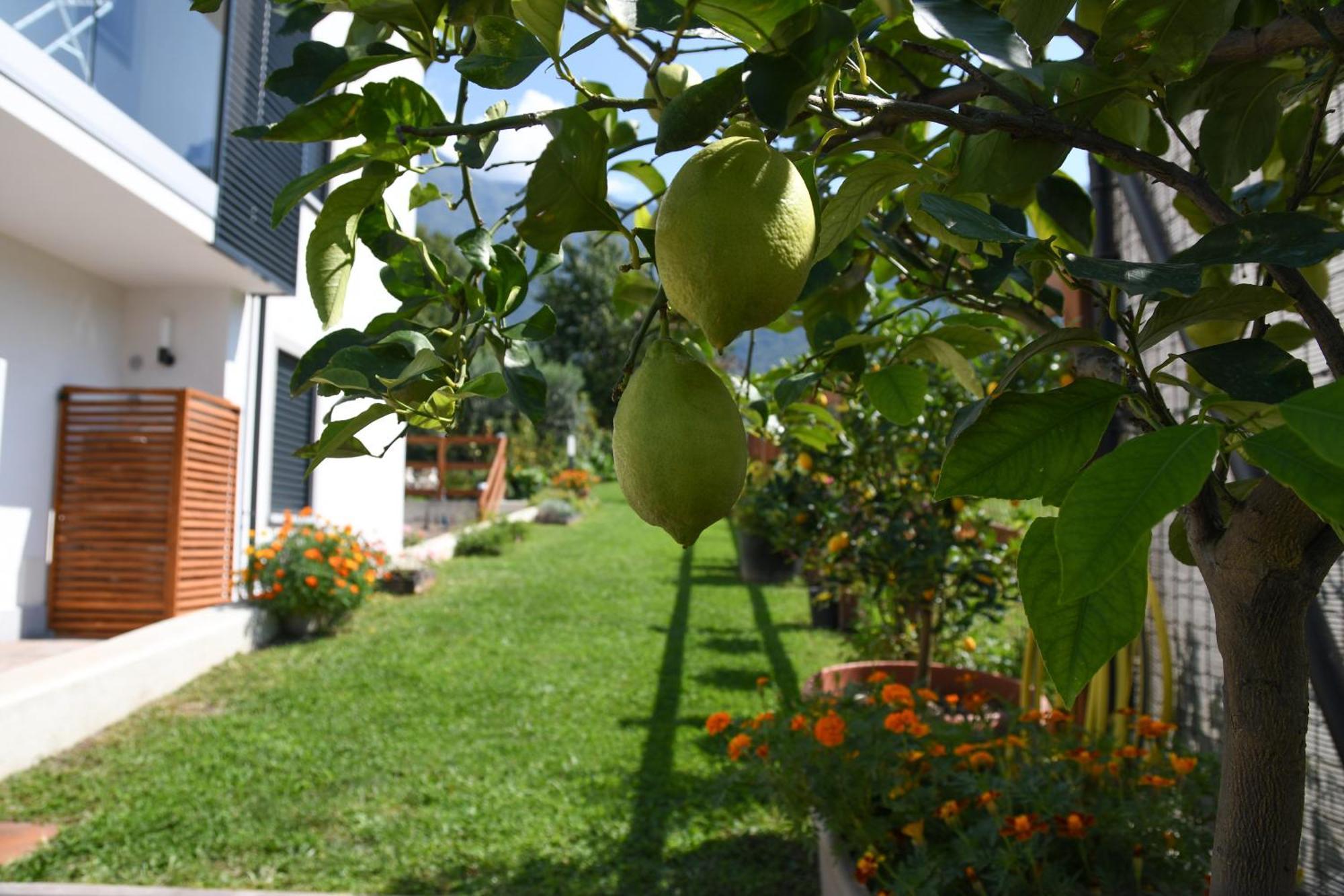 Il Giardino Dei Ciliegi Appartement Colico Buitenkant foto