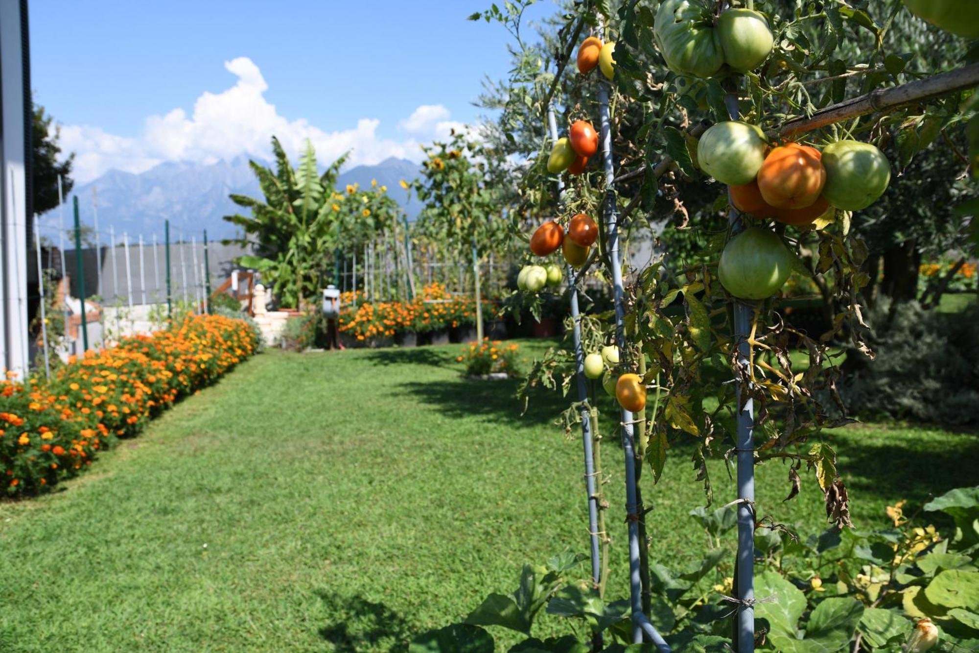 Il Giardino Dei Ciliegi Appartement Colico Buitenkant foto