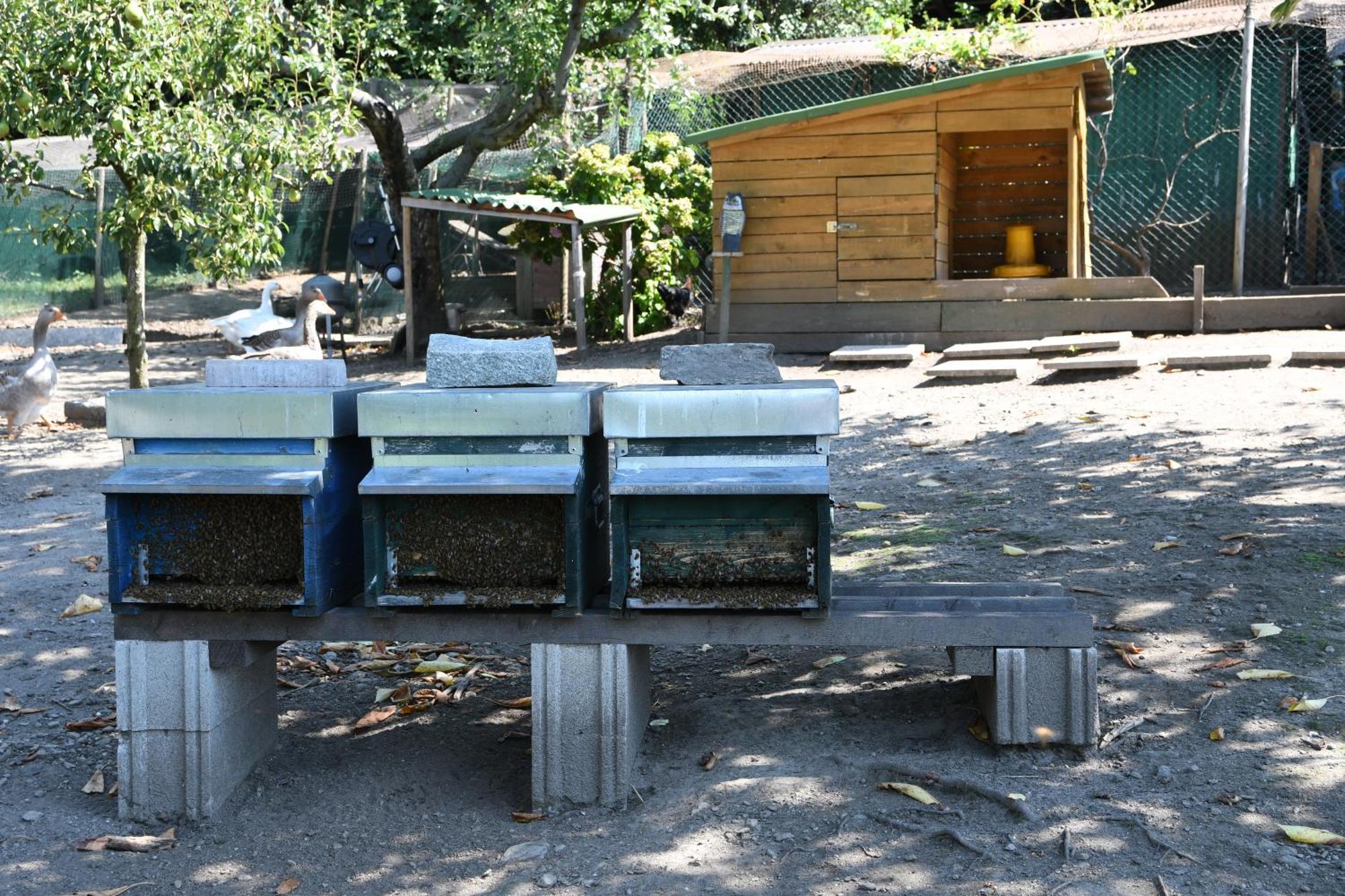 Il Giardino Dei Ciliegi Appartement Colico Buitenkant foto