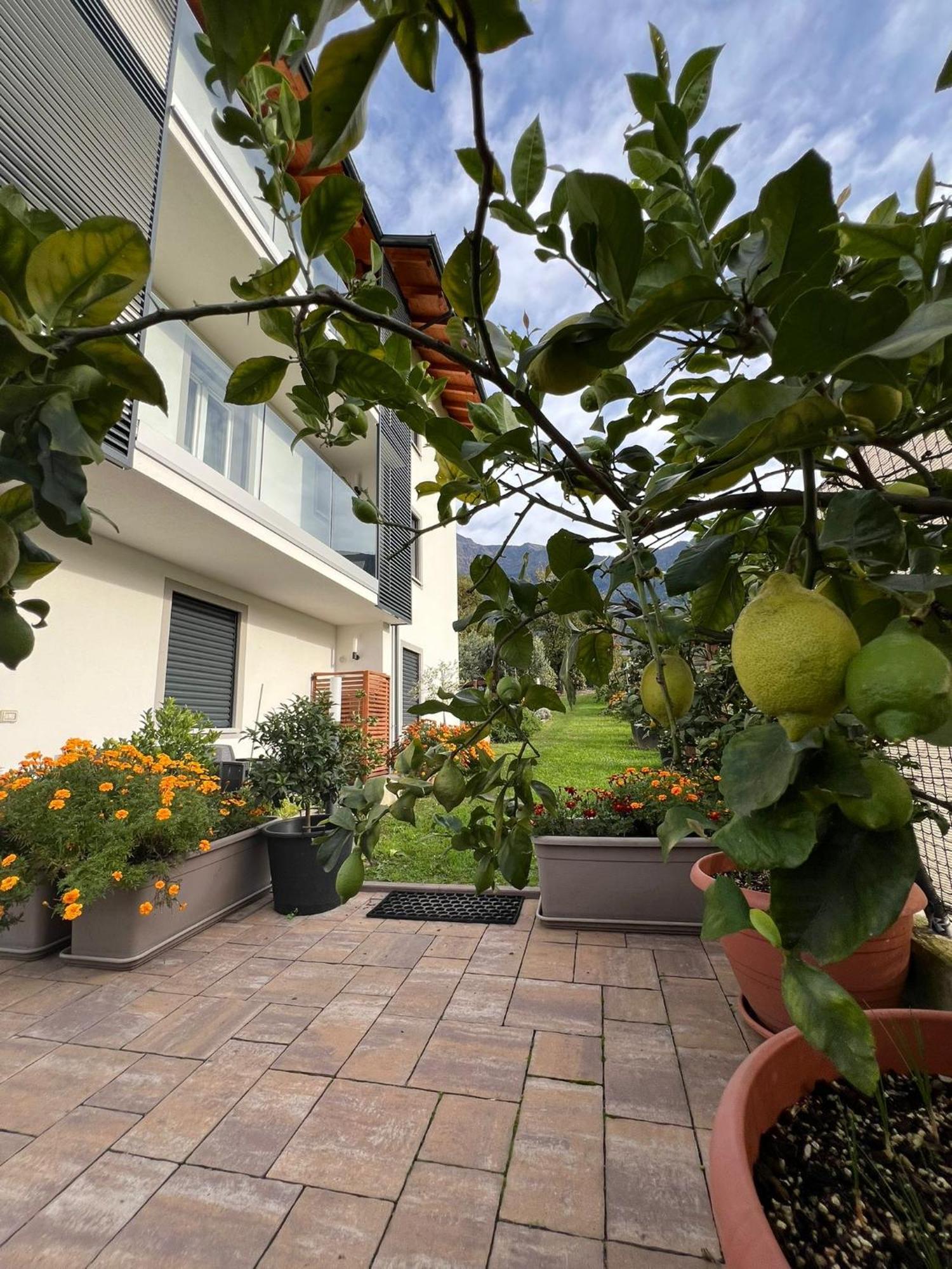 Il Giardino Dei Ciliegi Appartement Colico Buitenkant foto